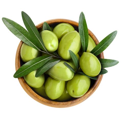 Olive Varieties Viva Olives From Tree To Table Australian Grown