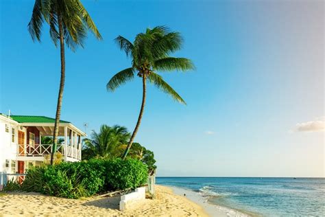 2021 Barbados Travel Guide Read This Before Visiting Barbados