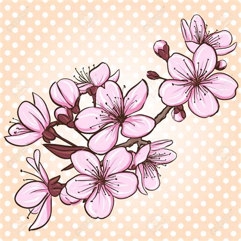 Oriental Cherry Stock Illustrations Cliparts And Royalty Free