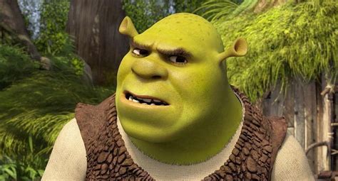 Netflix Un Peruano Vio Shrek 226 Veces En 2017 Miscelanea Correo