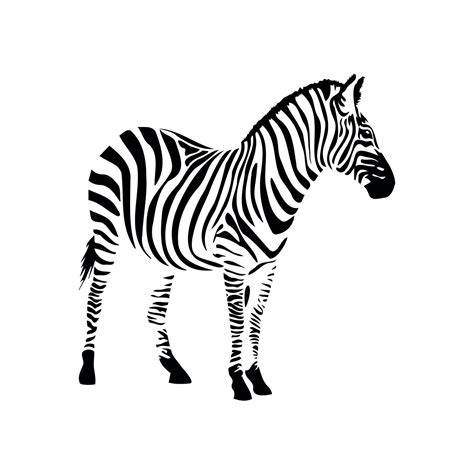 Zebra Svg Animal Svg Files For Cricut Nature Dxf Cut File Etsy