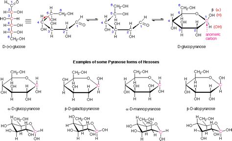 87 Galactose Has The Structure Shown Below Structureofgalactose1