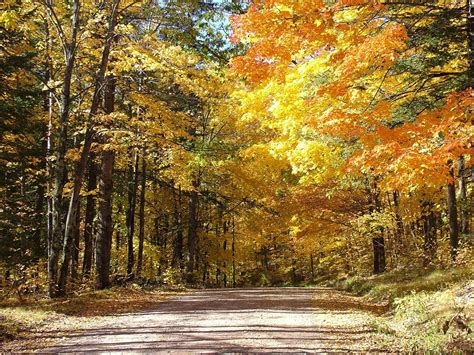 Try A Fall Color Drive In Rusk County Wisconsin Wisconsin