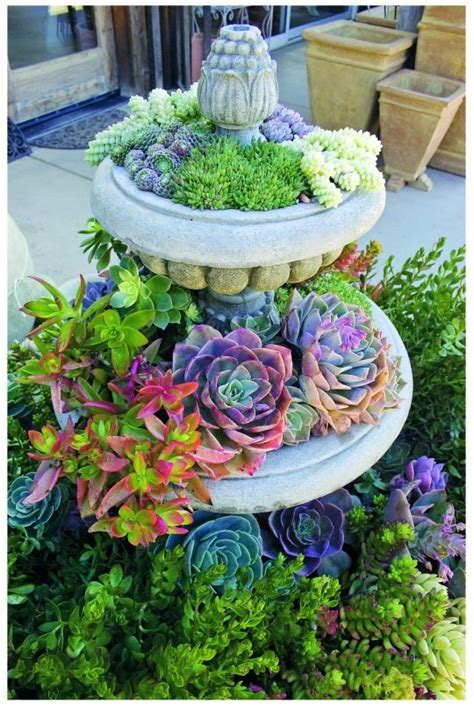 Flower Pots Small Front Yard Landscaping Succulents Garden Plants