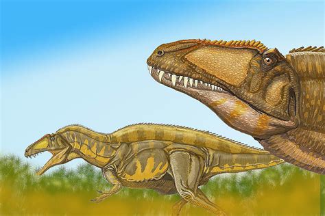 Pictures And Profiles Of Carnivorous Dinosaurs