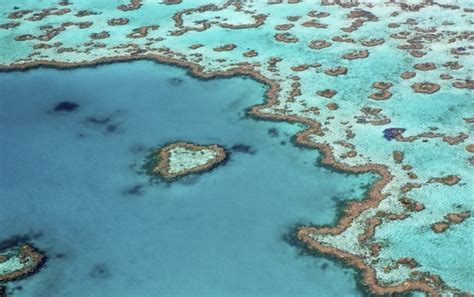 Coral Crisis Great Barrier Reef Bleaching Is The Worst Weve Ever
