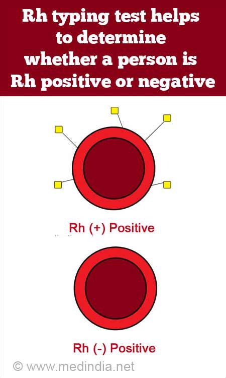 Rh Negative Blood Type Chart