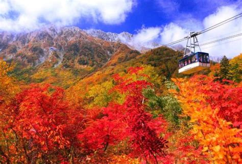 9 Number One Reasons You Need To Visit Tateyama Kurobe Alpine Route