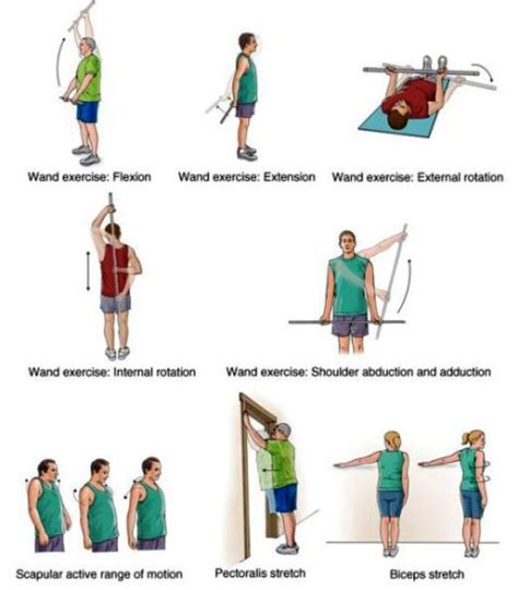 Exclusive Physiotherapy Guide For Physiotherapists Wand Exercise For