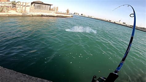 صيد السمك كاستنج جدة السعودية حداق لفاح البحر الاحمر Fishing Jeddah