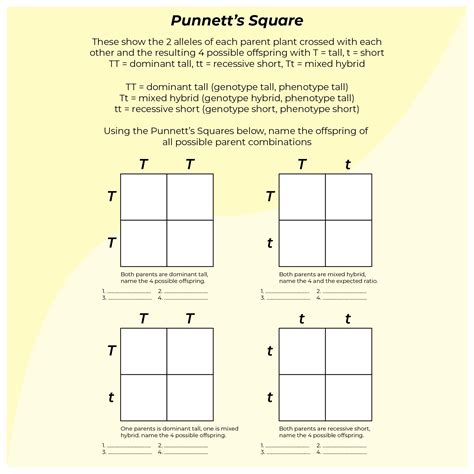 10 Best Printable Punnett Square Worksheets Printablee