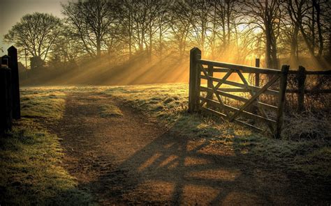 Wallpaper Sunlight Landscape Forest Sunset Night