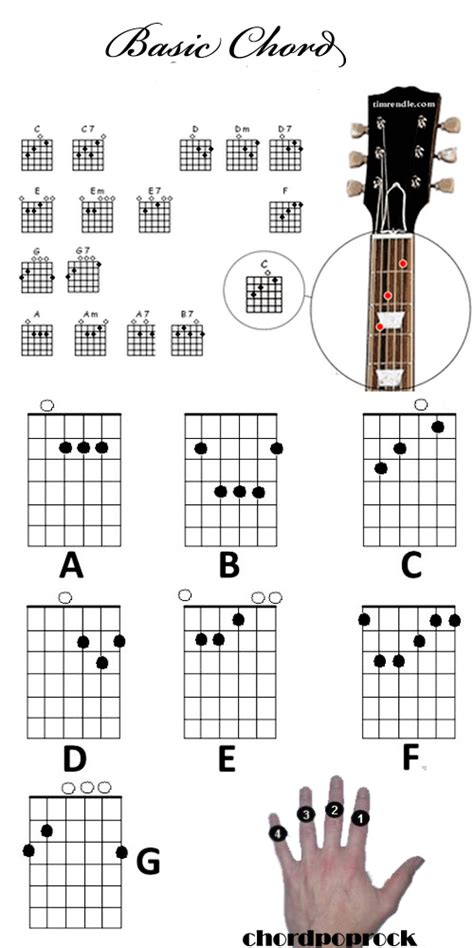 Kumpulan Kord Gitar Lengkap Bagi Yang Belajar Gitar ~ Musik Kita