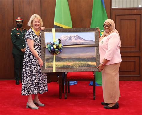 Rais Samia Ateta Na Waziri Wa Uingereza Anayeshughulikia Masuala Ya Afrika Mhevick Ford Mzalendo