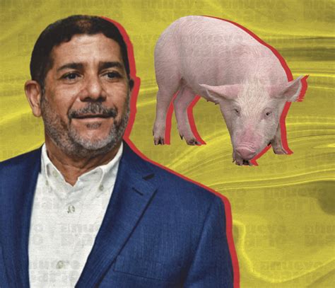 Peste porcina se convierte en amenaza para América voces do