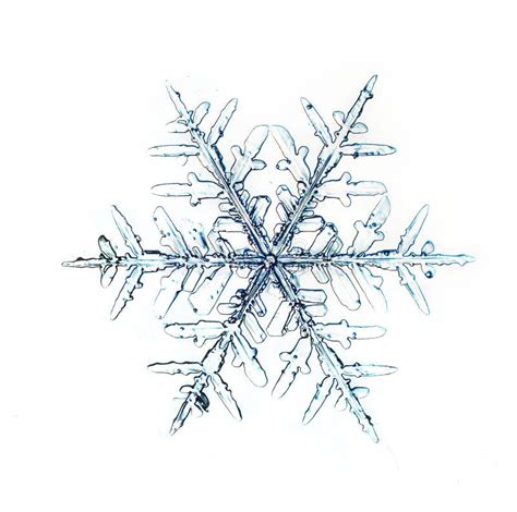 Natural Snowflake Macro Naturals Stock Photo Image Of Freeze Crystal