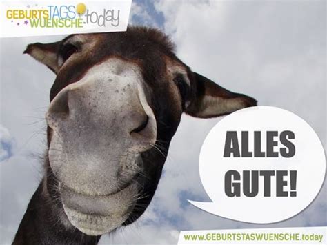 200 kostenlose bilder zum thema geburtstag lustig pixabay. Lustige und schöne Geburtstagskarten | Lustige ...