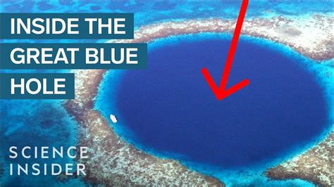 Whats At The Bottom Of The Great Blue Hole Youtube In 2021 Blue