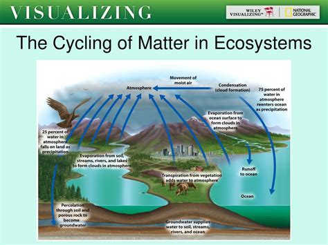 How Ecosystems Work Chapter Ppt Download