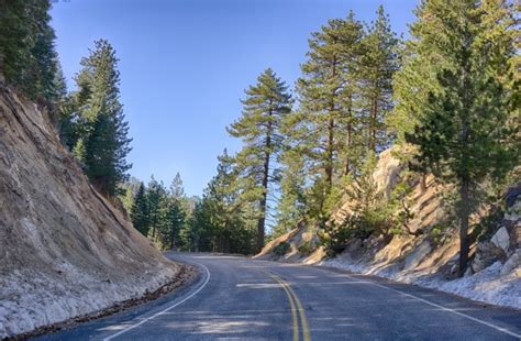 Mountain Forest Road Free Stock Photo Public Domain Pictures