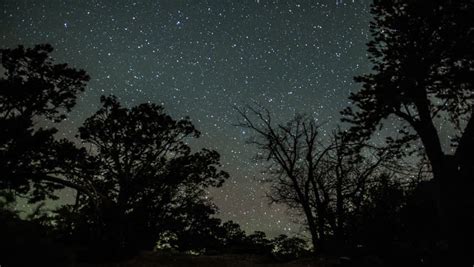 Night Sky Stars Galaxy Timelapse With Forest Trees In The