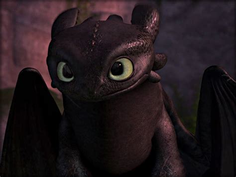 Pics Photos Toothless From How To Train Your Dragon In Kitten Form