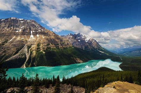 See The Glacial Blue Waters Of Peyto Lake