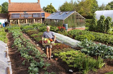 See The Results Of Seven Years Of No Dig Gardening Eco Snippets