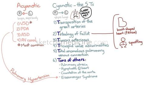 Acyanotic Vs Cyanotic Congenital Heart Defects Chd Nursing Mnemonics