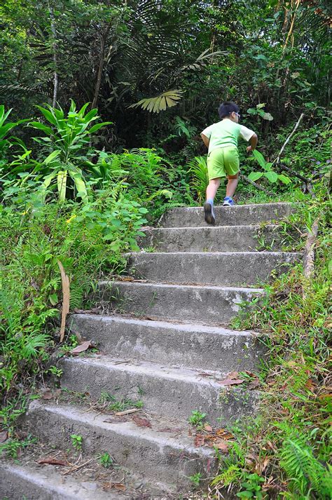 Hungry from all the energy spent amongst the lush greens? Sungai Siput Boy: Hiking : Taman Pendidikan Bukit Gasing ...