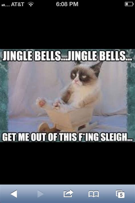 Pin By Trinity Coburn On Christmas Grumpy Cat Cat Memes Lol