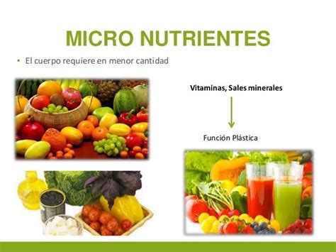 Micronutrientes Micronutrientes
