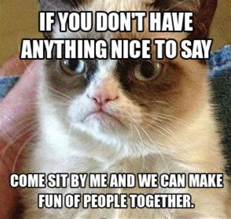 Grumpy Funny Grumpy Cat Memes Grumpy Cat Quotes Grumpy Cat Meme