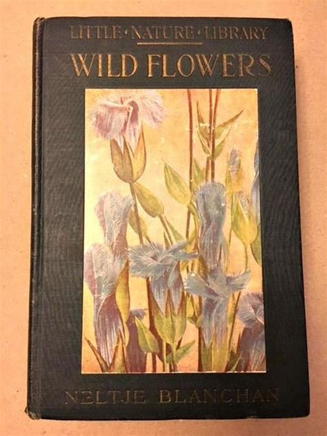 Vintage 1922 Edition Of Wild Flowers Worth Knowing Etsy Vintage