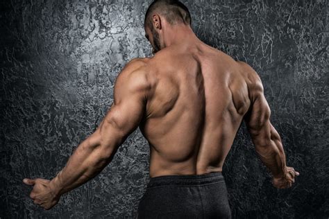 Build A Bigger Back With This Single Arm Breakthrough Breaking Muscle