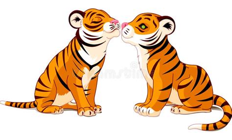 Two Tigers In Love Stock Illustration Illustration Of Animal 12897884