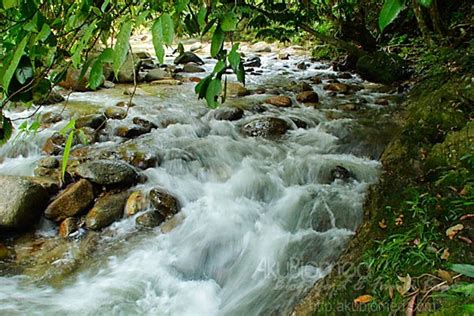 Di sana juga, ada santuari ikan. Air Terjun Sungai Chiling Di Selangor Lokasi Mandi Manda ...