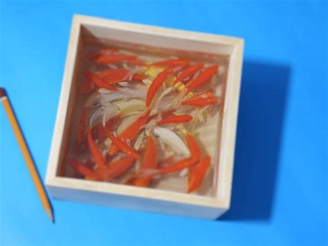 3d Goldfish Art In Clear Resins By Gerardo Chierchia Bored Panda