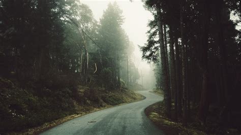 Misty Forest Road Wallpapers Wallpaper Cave