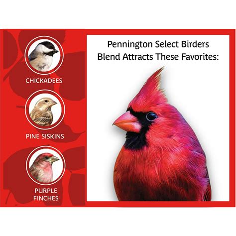 Pennington Select Birders Blend Wild Bird Seed And Feed 10lb Bag