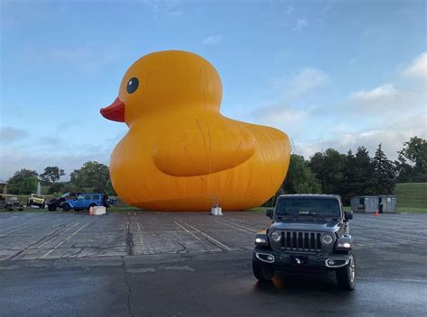 Duck That Jeep Or How Worlds Largest Rubber Duck Came To Represent