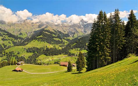 Swiss Alps Wallpaper 1440x900