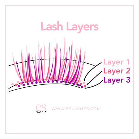 eyelash extension guide tips and tricks for lash extension infographic vector illustration artofit