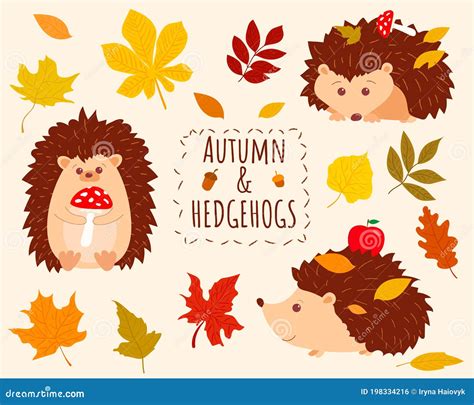 Cute Hedgehogs Set In Cartoon Style With Autumn Leaves Decoration