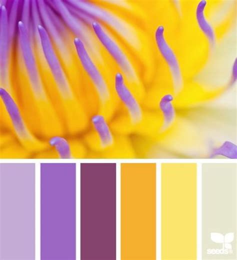 Color Palette Yellow Color Schemes Colour Palettes Colour Pallette