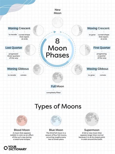 Moon Phases Names Types And Lunar Calendar Yourdictionary
