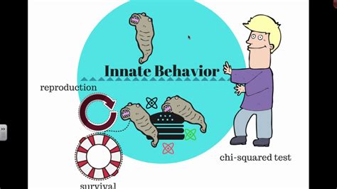 Innate Behavior Ib Biology Youtube