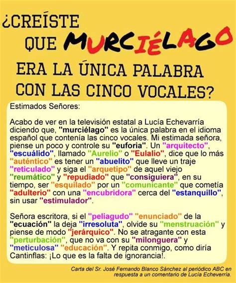 Palabras en español con las 5 vocales, estas son algunas | JØ₮₳