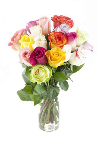 Bouquet Of Long Stemmed Rainbow Roses Dozen And A Half