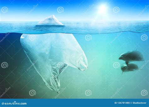 Two Dolphins Swimming Near Plastic Bag In The Open Sea Stock Photo